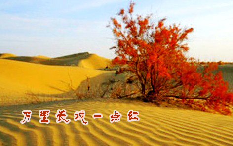 �f���L��һ�t��