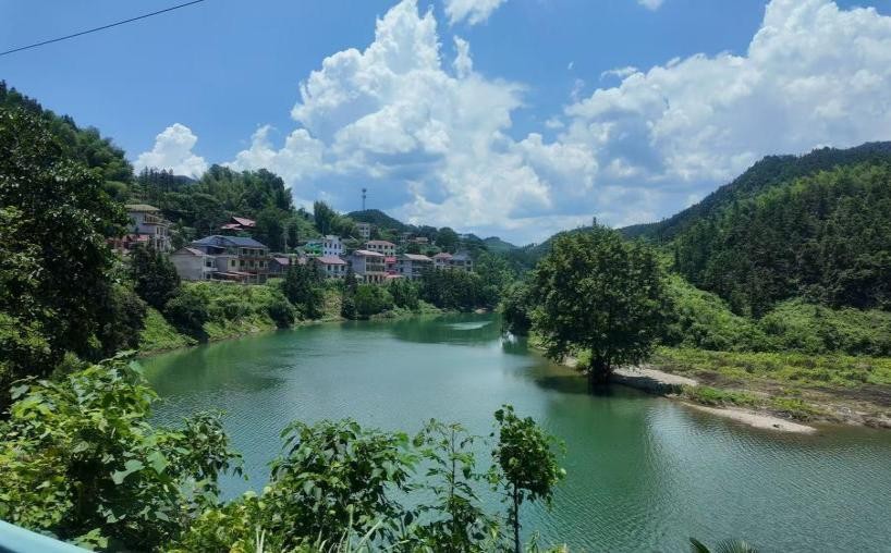 ���ώ��� ���I����・�뷫�� ���`�F�Ř��У��w�������x���l�����d