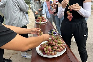 �����ƿ����`���ഺ��֮һ��