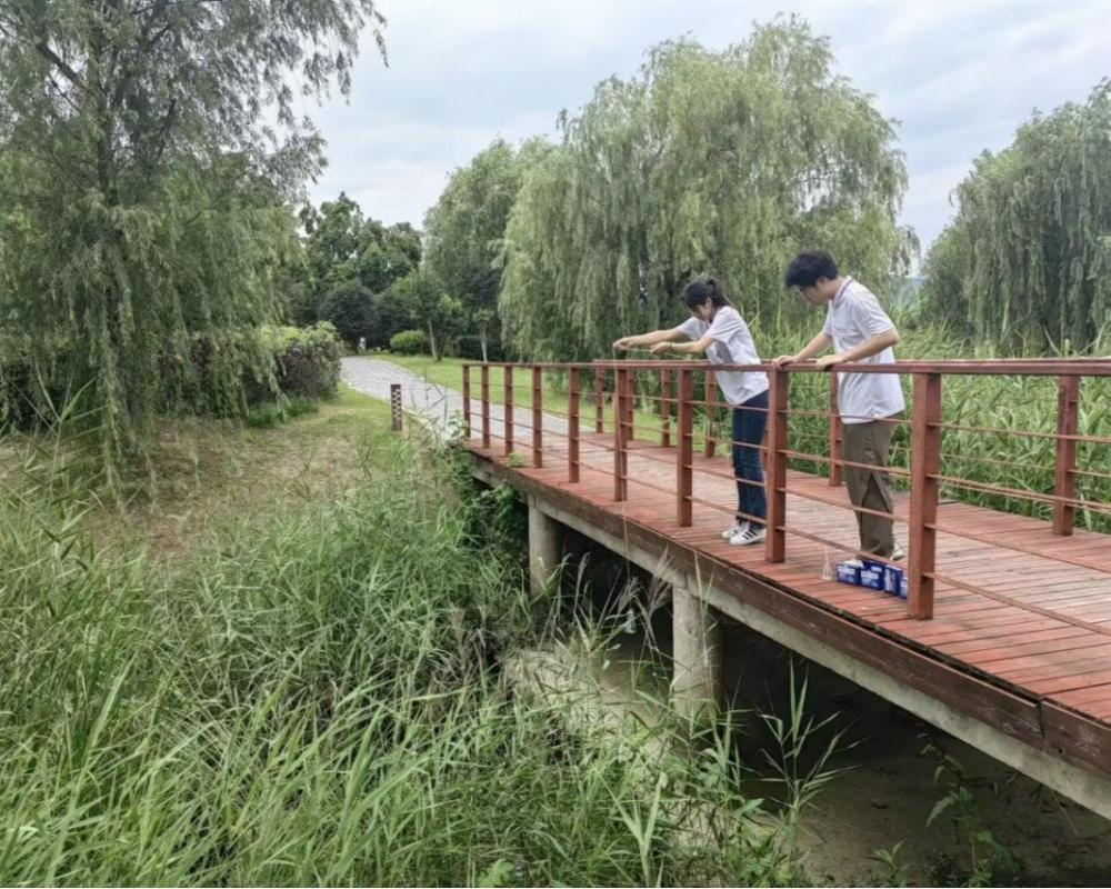 ��Ժ�W�������l���`��棺���ӡ���һ���� ̤�ϱ��lĸ�H��֮·