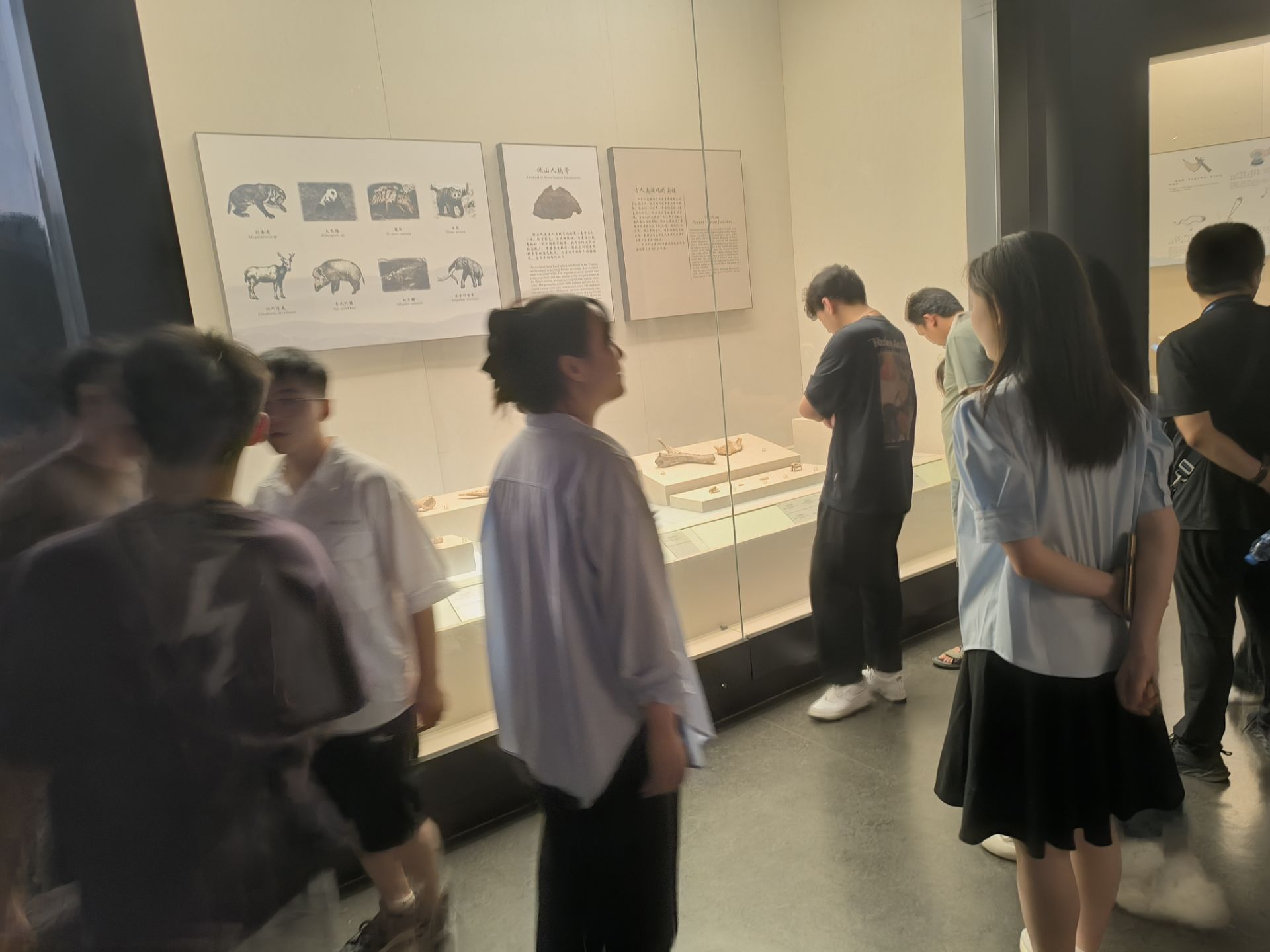 ��W�����밲�ղ���Ժ̽���Ļ�����