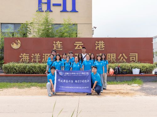 �Ƽ������d�O�������l�����d