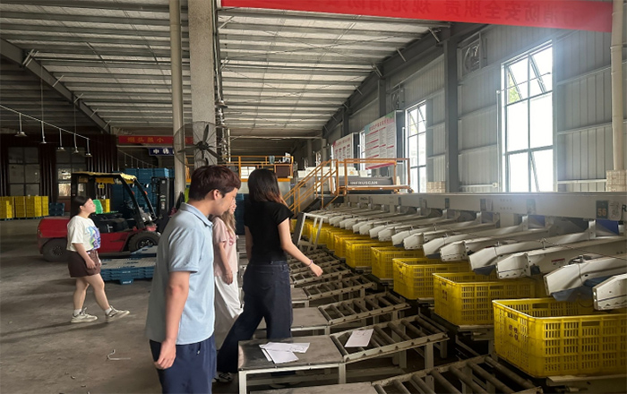 �l�����d�G�������A�r�W�����r�A